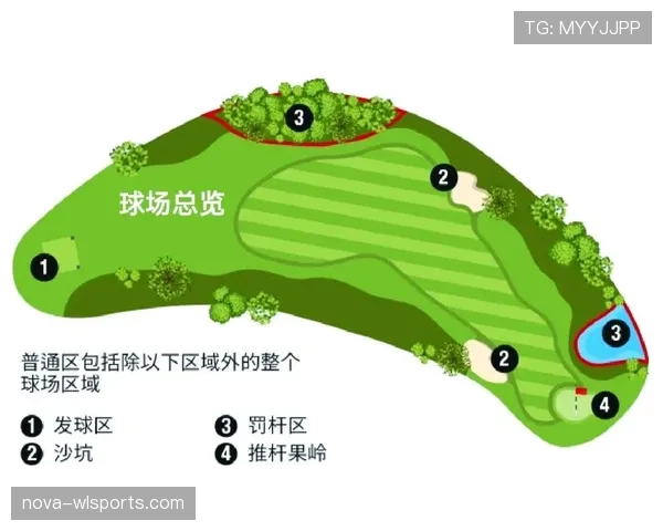 挑战判罚规则是什么？权威解读其判定标准与球场影响